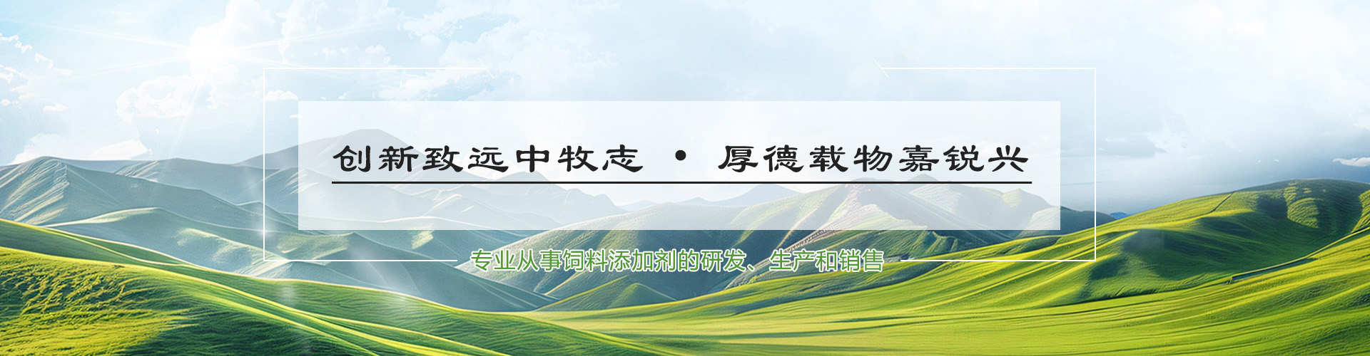 企业风采